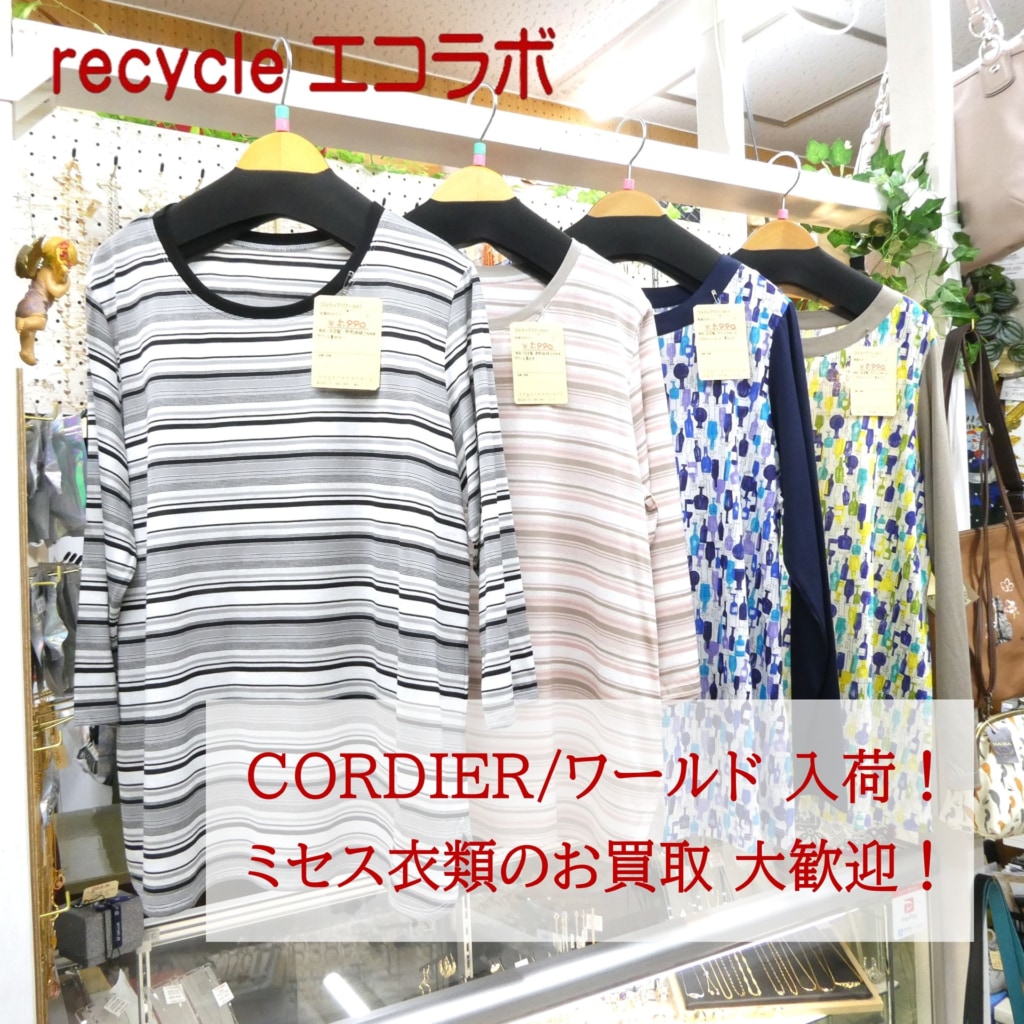 コルディア（ワールド）のカットソー入荷しました！