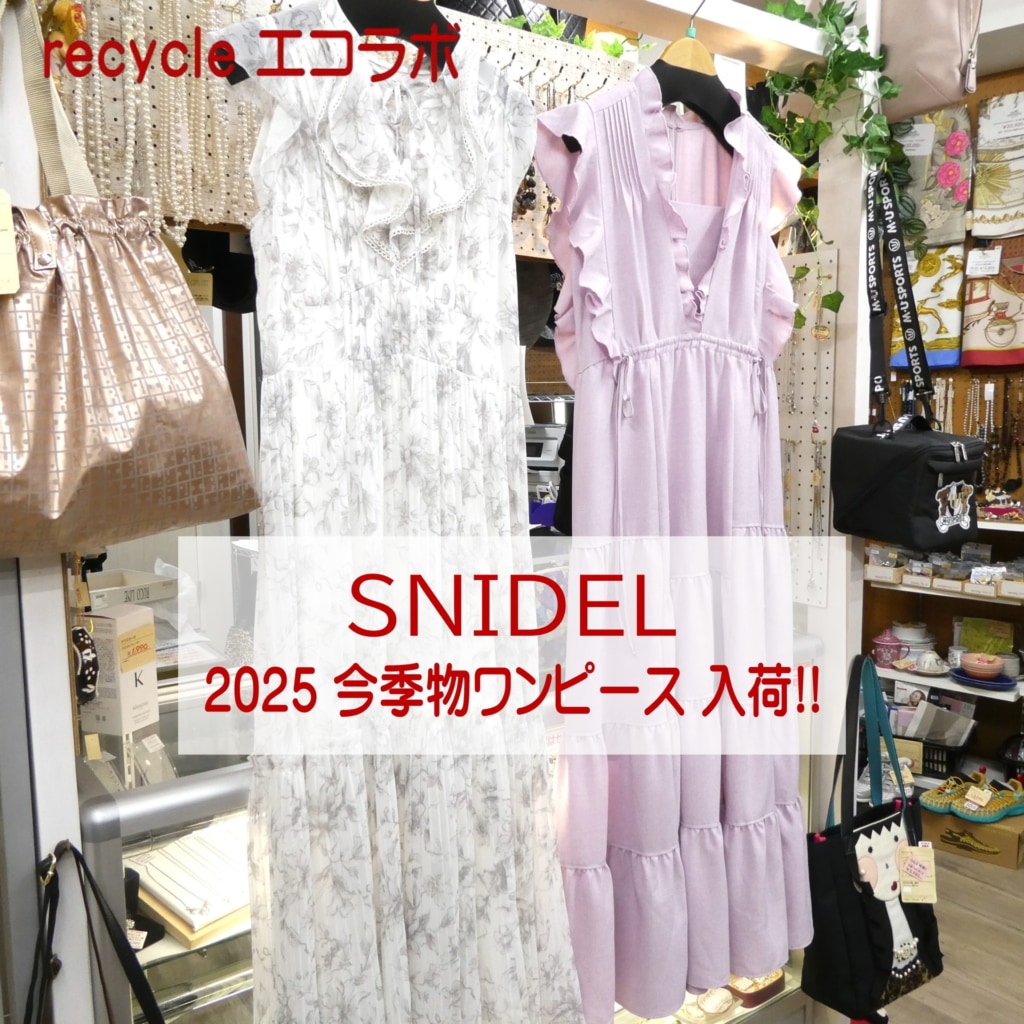 スナイデル 2025ss 今季物ワンピース 入荷しました！